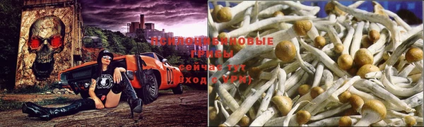 экстази Абдулино
